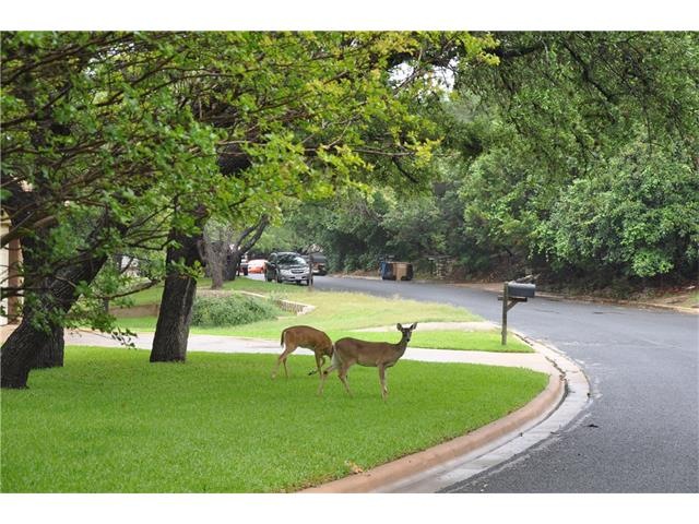 The neighbors
