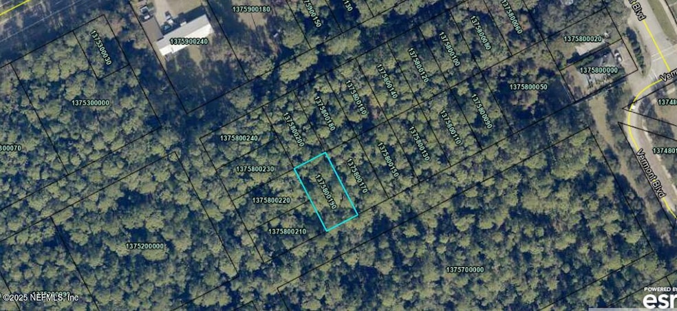 0 10th St unit 2110549, Elkton, FL 32033 - photo 1