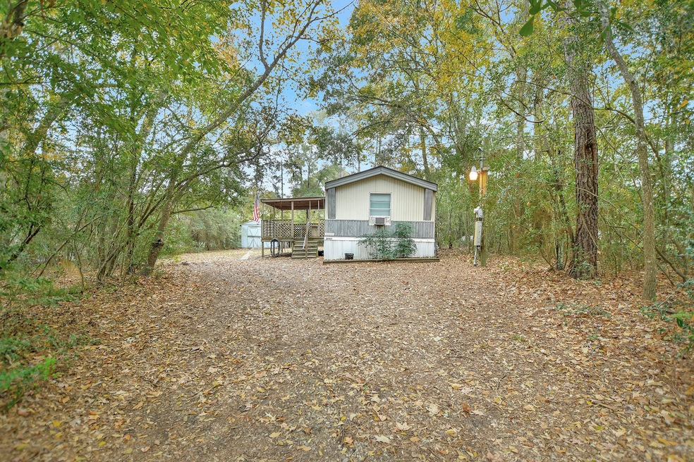 29107 Saint Charles Place, Magnolia, TX 77354 - photo 1