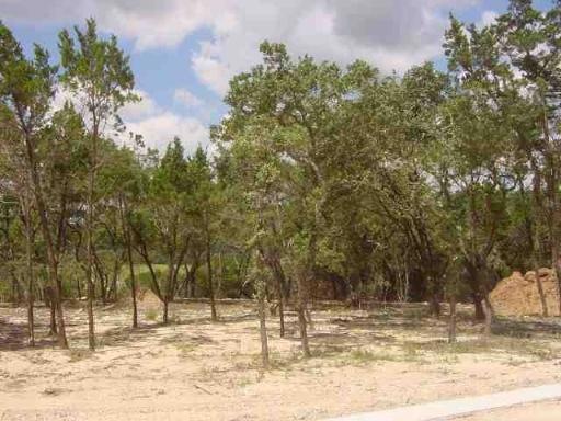 24915 Caliza Terrace, Fair Oaks, TX 78006 - photo 1