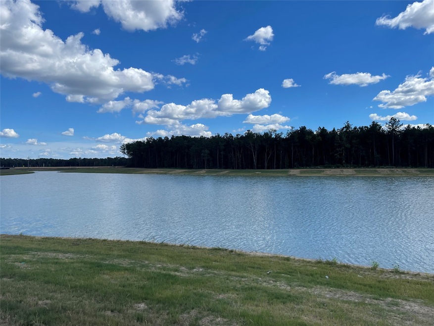 16532 Cascading Pines Ct, Conroe, TX 77302 - photo 1