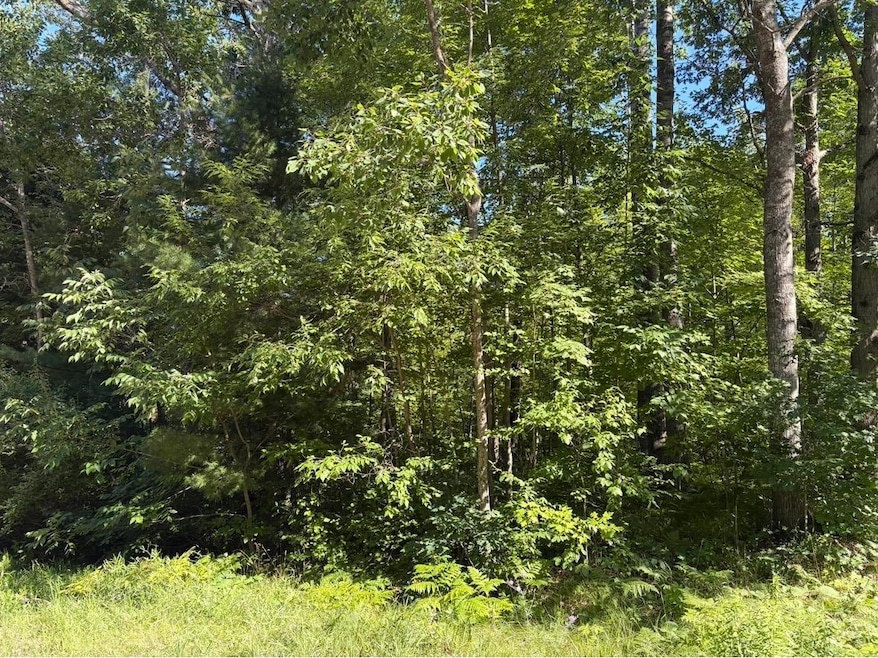 Lot 27 Azalea Ln, Frost Township, MI 48625 - photo 1