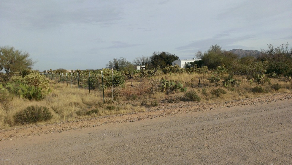 Northern fence