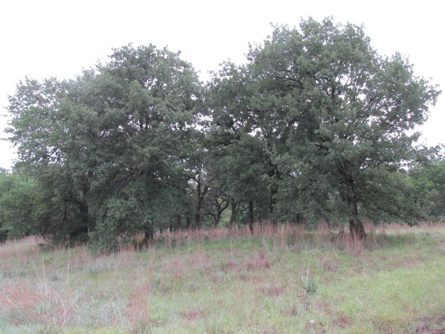 7800 Old Agnes Rd, Poolville, TX 76487 - photo 1