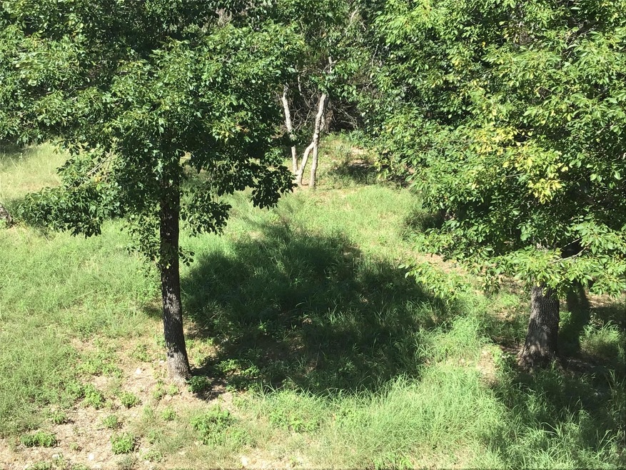 10055 Bluffview Ct, Whitney, TX 76692 - photo 1