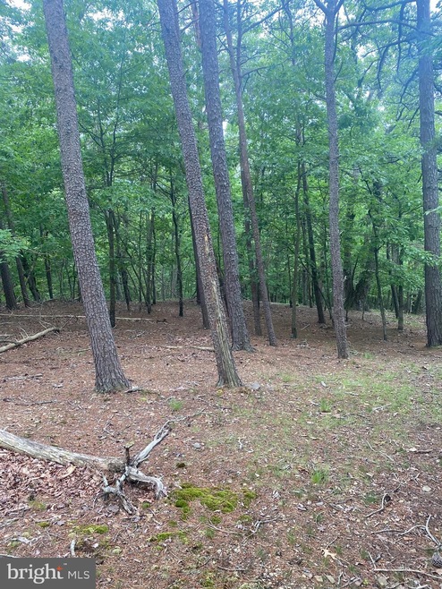 0 Big Sky Ln unit WVMO118606, Berkeley Springs, WV 25411 - photo 1