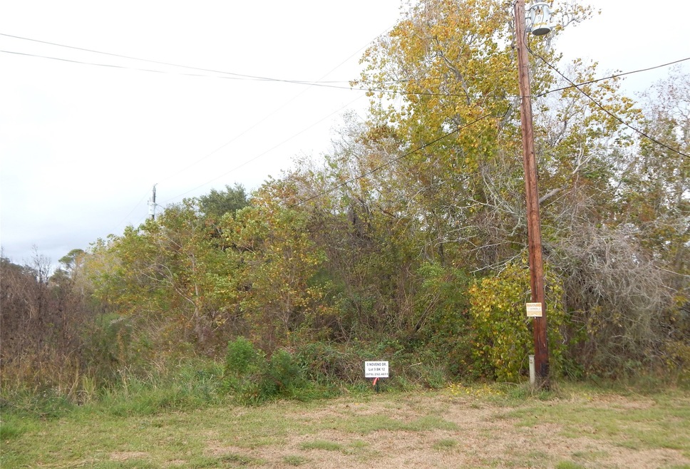 0 Noveno Dr, Brazoria, TX 77422 - photo 1