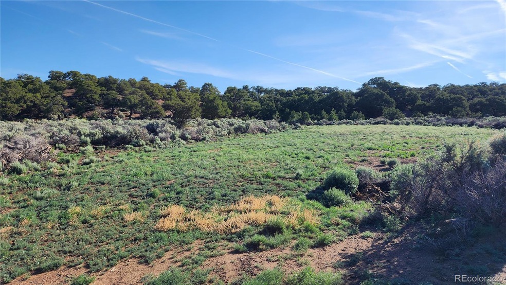 1702 Luke Rd, Fort Garland, CO 81133 - photo 1