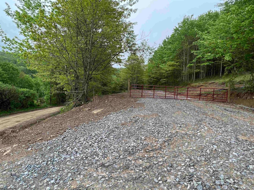 TBD High Germany Rd, Mill Creek, WV 26280 | MLS# 10149048