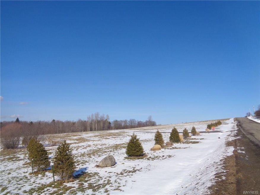 0 Reed Rd unit B1017247, Arcade, NY 14009 - photo 1