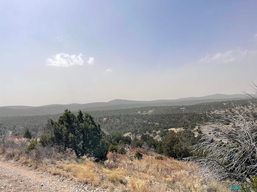 NHN Anders, Timberon, NM 88350 - photo 1