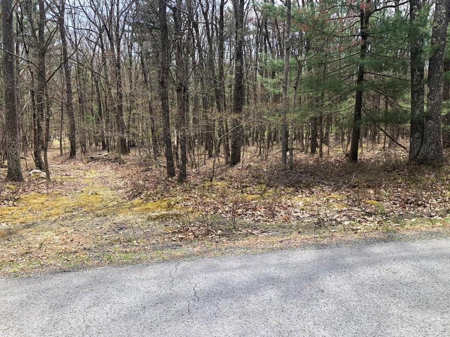 838 Muldovan Dr, Lackawaxen Township, PA 18428 - photo 1