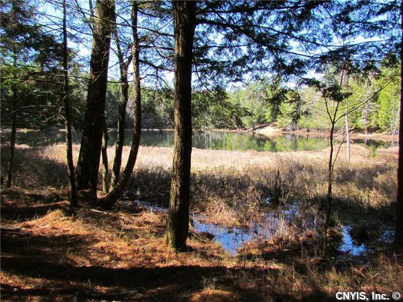 Land. Rear of Property backs up to Dwyer Pond