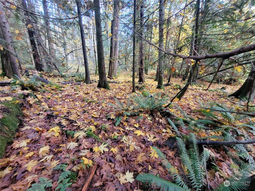 5376 Reese Hill Rd, Sumas, WA 98295 - photo 1