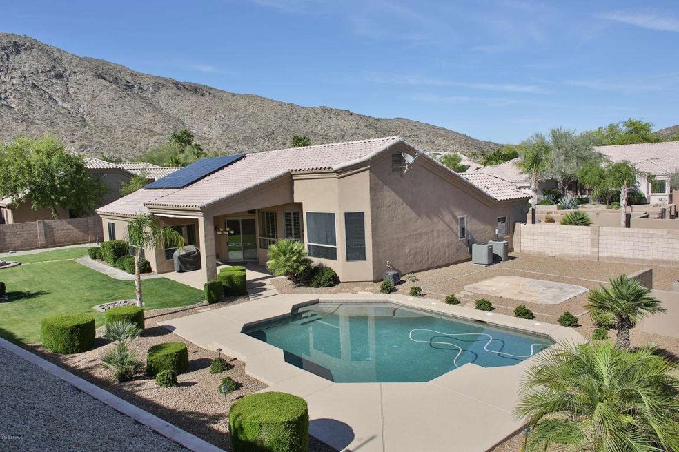 1 Backyard