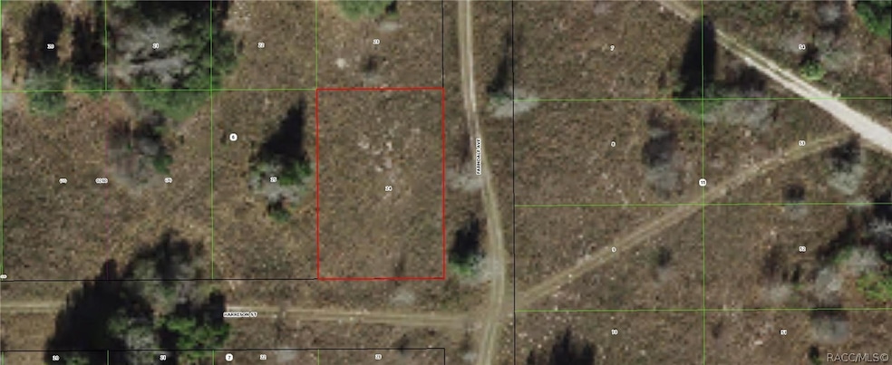 2302 Harrison St, Inverness, FL