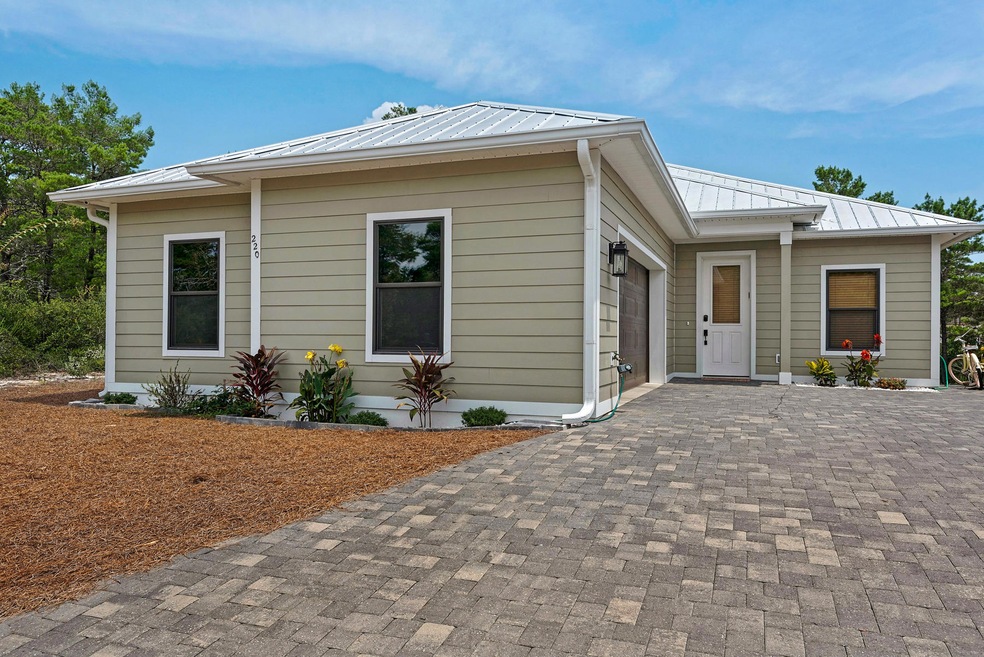 220SpottedDolphin_20160804_009