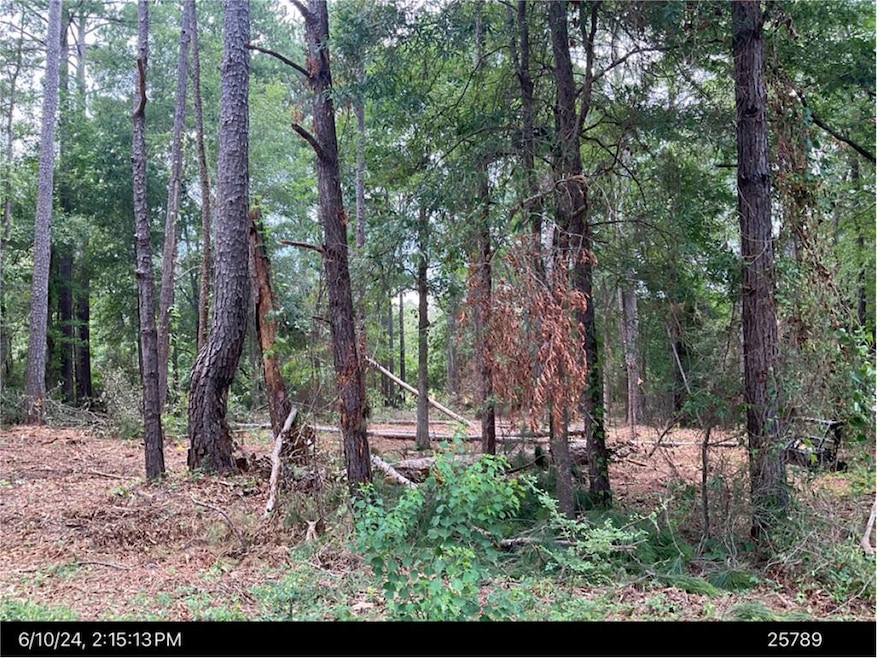 2707 Somerset Dr, Albany, GA 31721 - photo 1