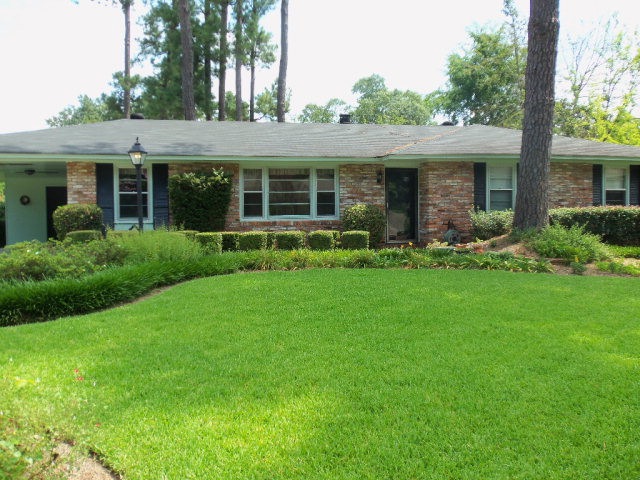 Main View