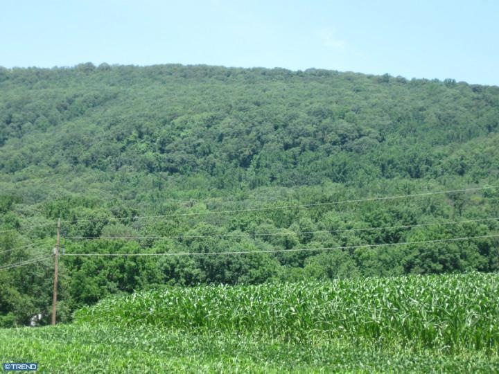 151 Sousley Rd, Lenhartsville, PA 19534 - photo 1