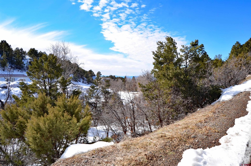 20602 Surface Creek Rd, Cedaredge, CO 81413 - photo 1