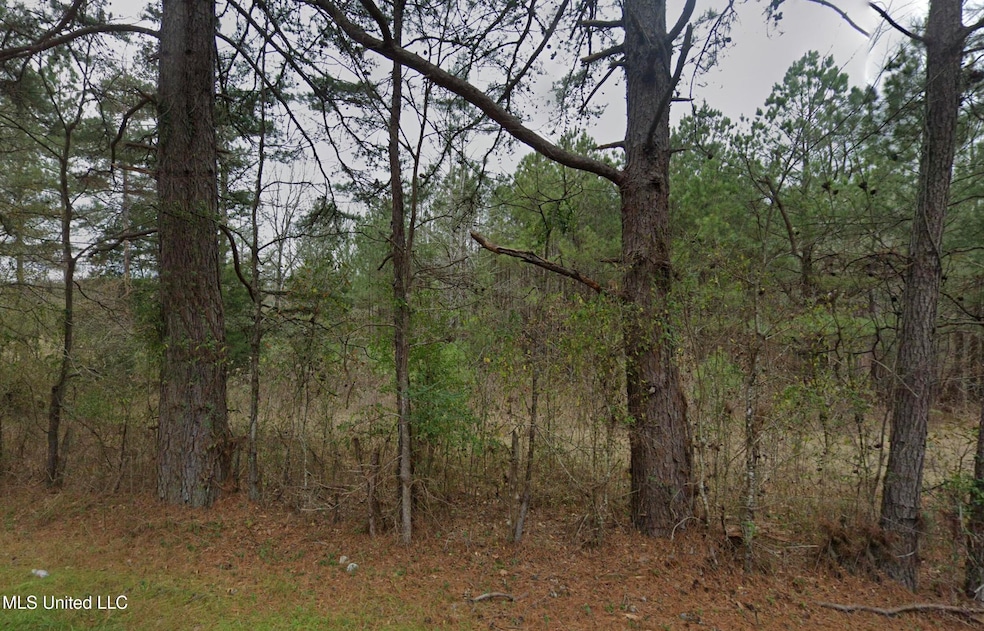 3 Acre Lot