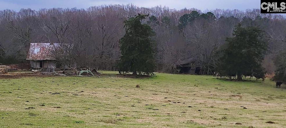 TBD Willie Usher Rd, Lancaster, SC 29720 - photo 1