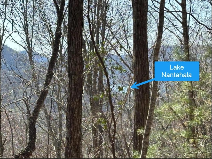 TBD Laurel Ln, Nantahala, NC 28781 - photo 1