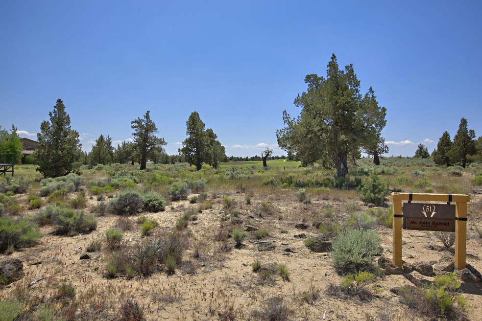 batch_Pronghorn_Lot 51_001