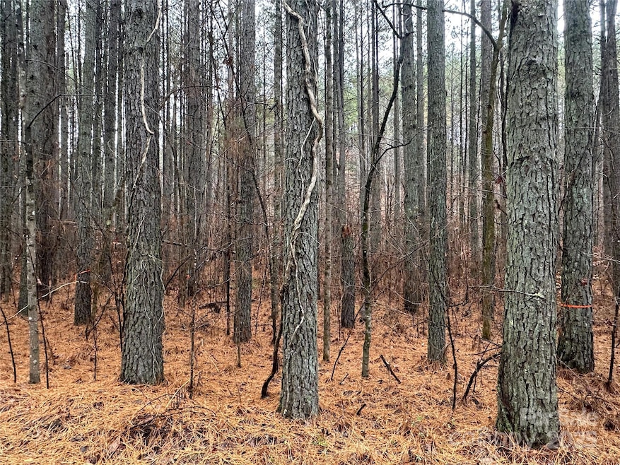 0 Frog Creek Rd unit CAR4326977, Union Mills, NC 28167 - photo 1