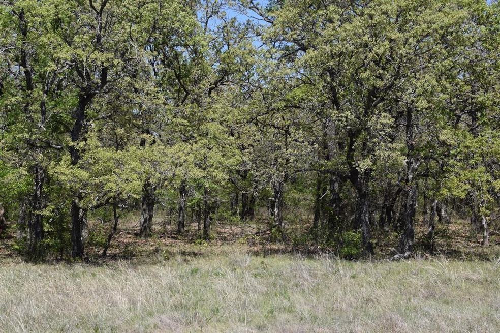 00 Jordan, Poolville, TX 76487 - photo 1