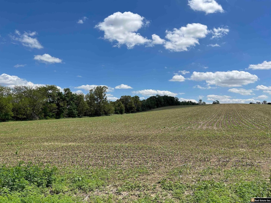 Parcel 6 Spring Saunders County Acreages County Rd, Yutan, NE 68073 - photo 1