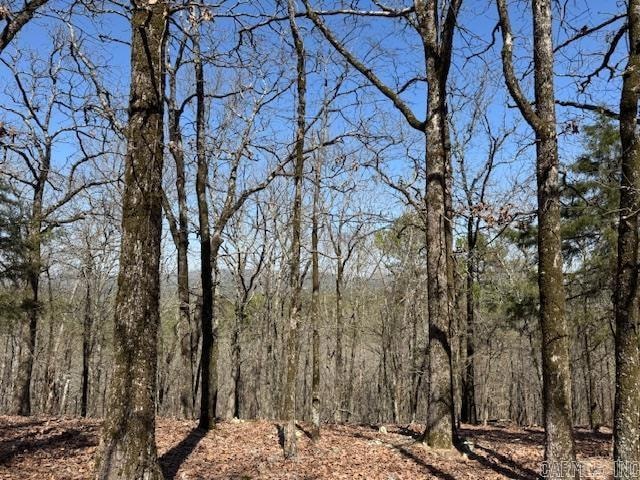 0 Fox Ridge Rd unit 25010505, Little Rock, AR 72223 - photo 1