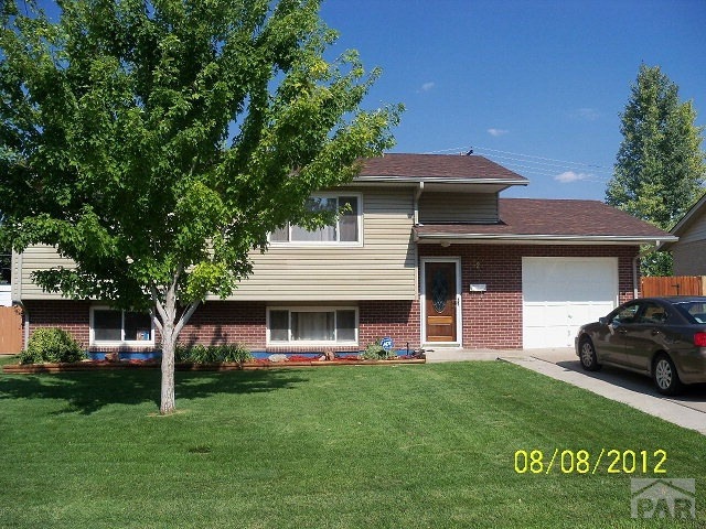 Main View