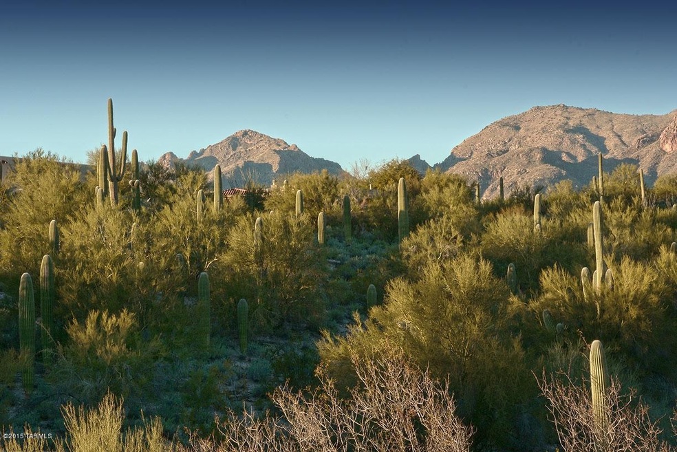 Saguaro Studded Lot