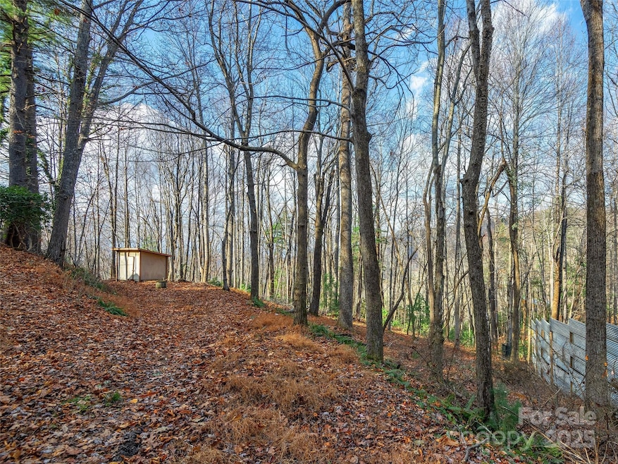 000 Indian Cave Park Rd, Hendersonville, NC 28739 - photo 1