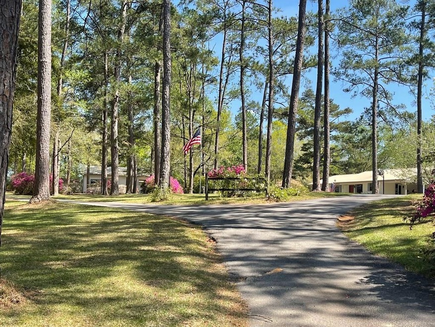 169 Carl Cloud Rd, Climax, GA 39834 - photo 1