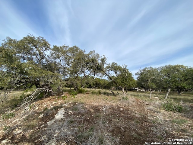 8633 Barn Owl, San Antonio, TX 78255 - photo 1