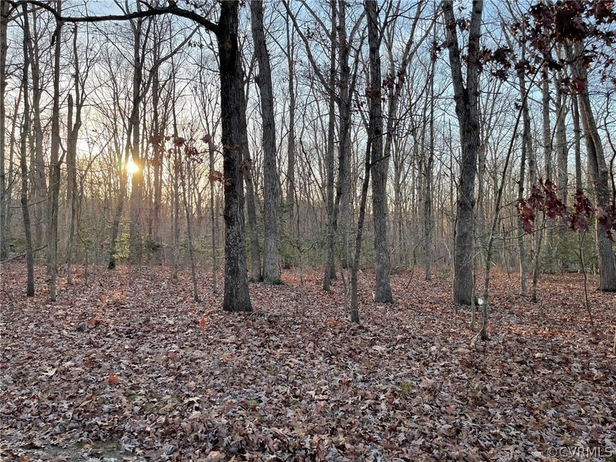 LOT 118 Windswept Rd, Mineral, VA 23117 - photo 1