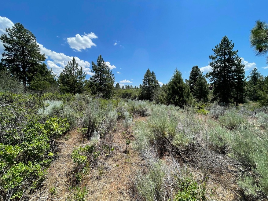.99 Acres Legget