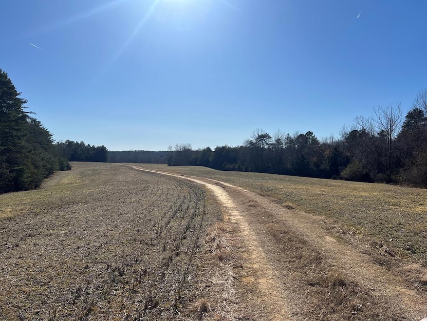 202 Ac. Chestnut Rd, Nathalie, VA 24577 - photo 1