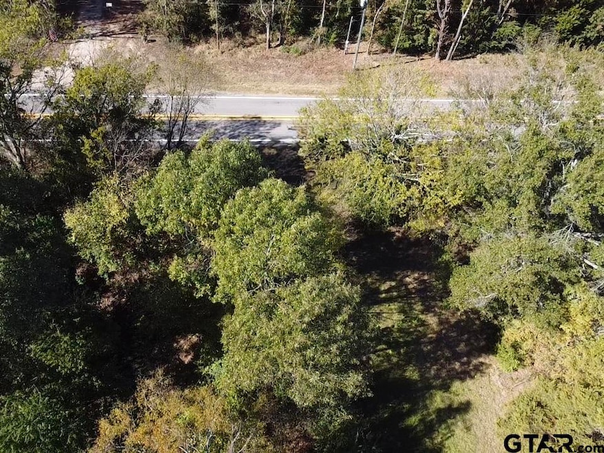 TBD Fm 1799, Alba, TX 75410 - photo 1