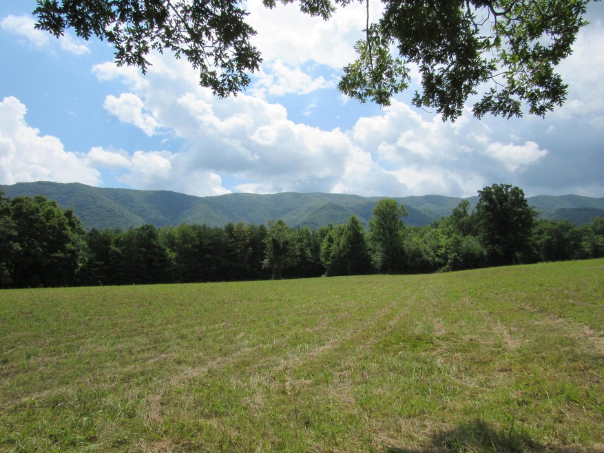 0 Stantons Ln, Greeneville, TN 37743 - photo 1