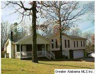 front of the house
