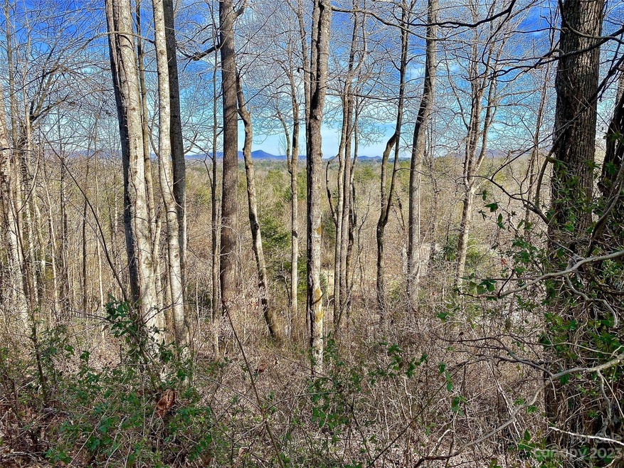 174 High Road Overlook, Flat Rock, NC 28739 MLS CAR4028067