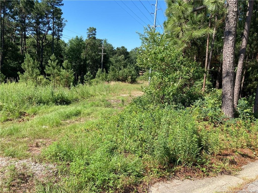 Lot 2 Colgate Dr, Fayetteville, NC 28304 - photo 1