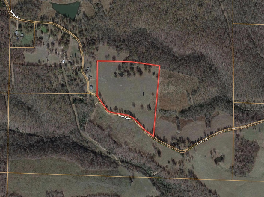 252 Banks Rd, Hardy, AR 72542 MLS 60257285