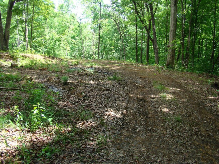 141 Jeremiah Rd, Cookeville, TN 38506 - photo 1