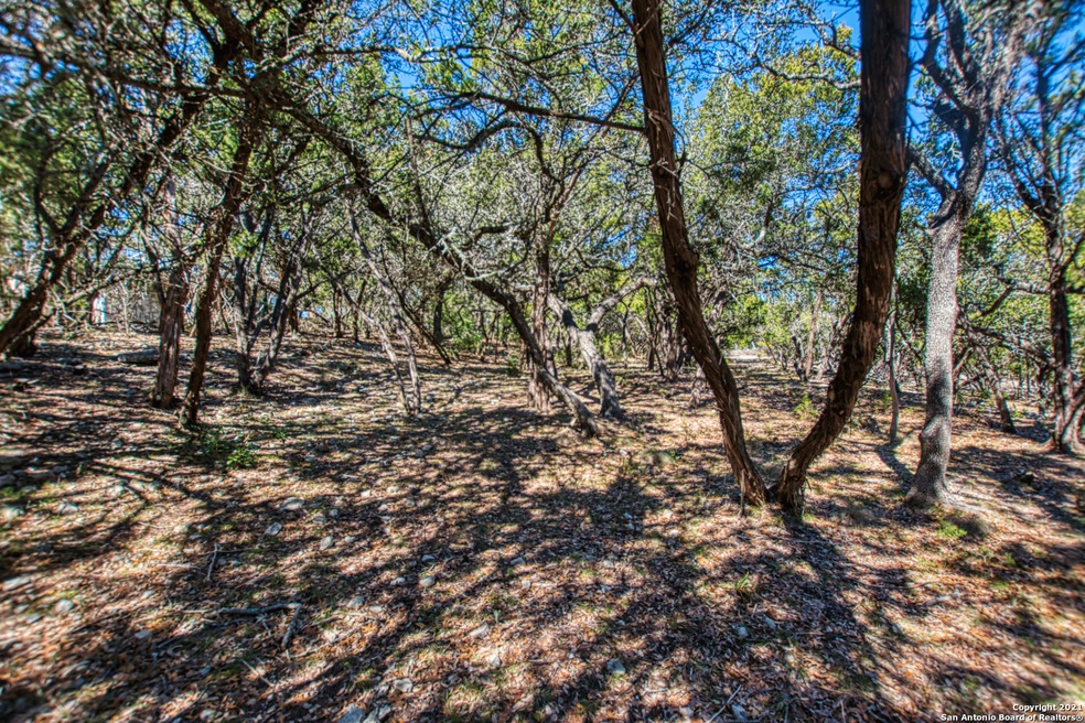 25600 Dull Knife Trail, San Antonio, TX 78255 - photo 1