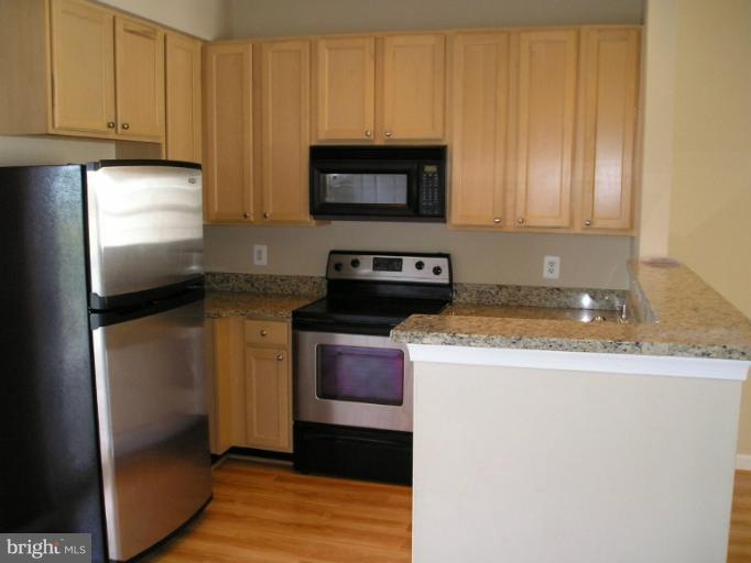 22571 Blue Elder Terrace unit 22571, Ashburn, VA 20148 - photo 1